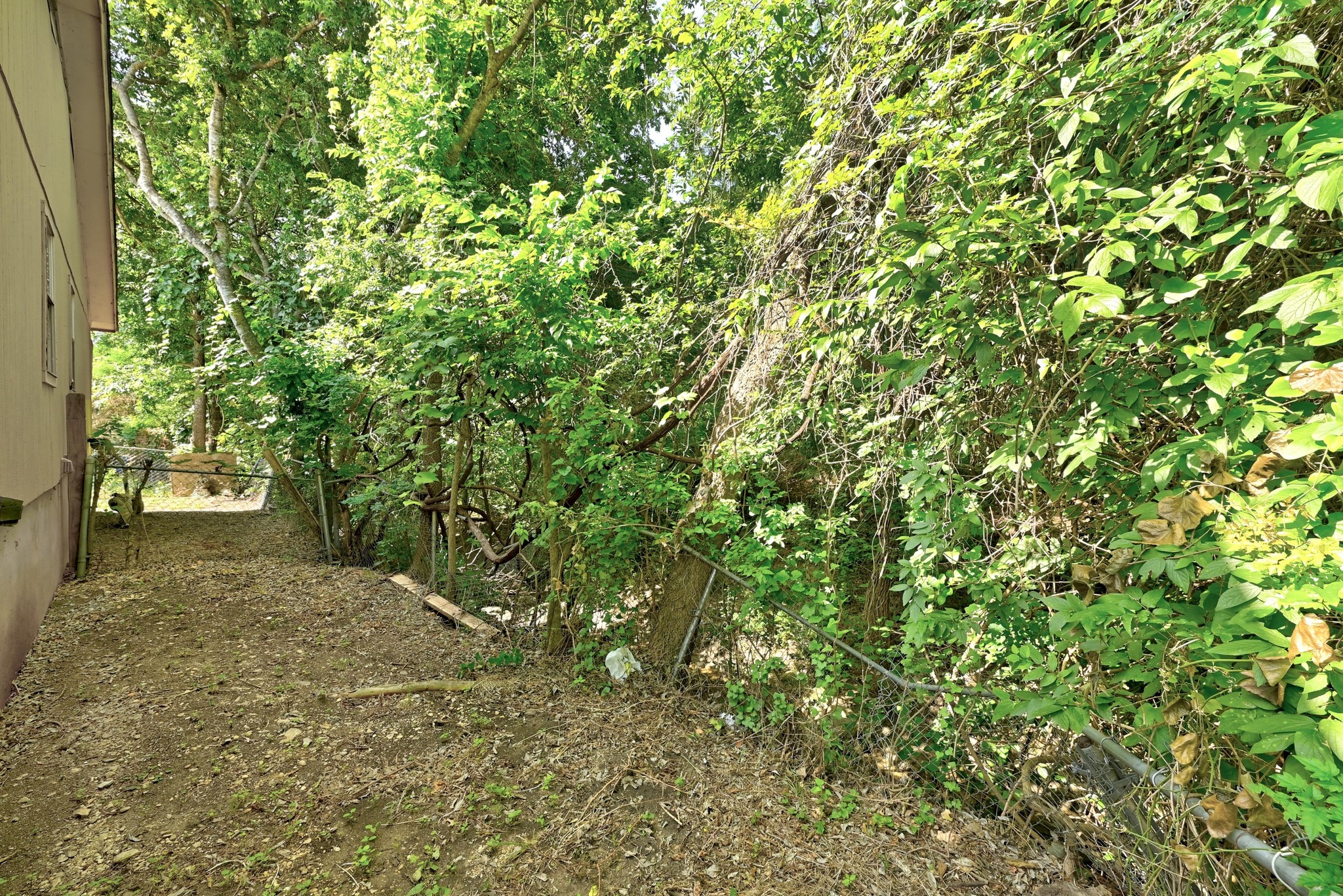 5707 Spring Meadow Road Austin, TX 78744 - Photo 20 of 21 a view of a yard with plants and tree