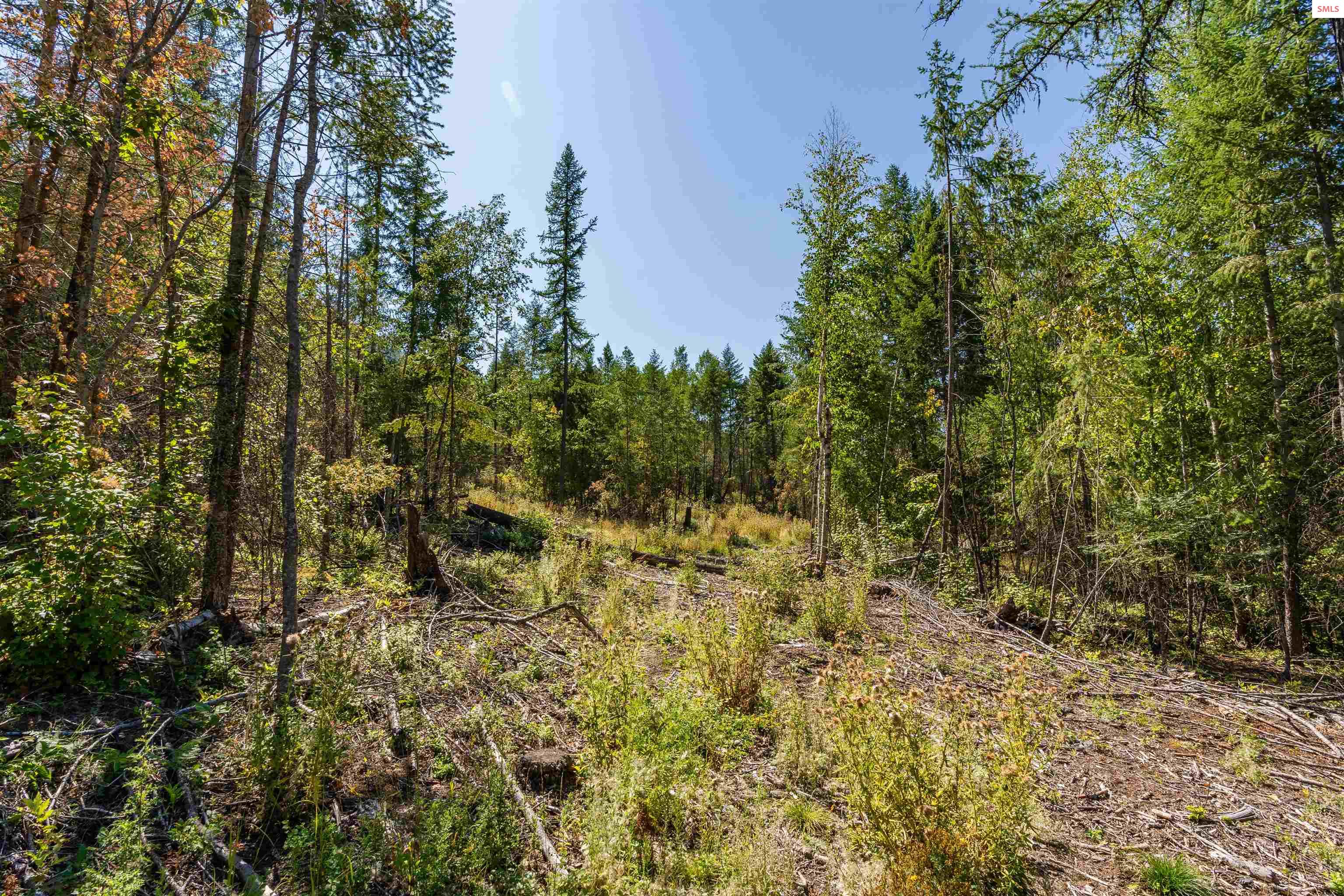 Nna Diamond Road Bonners Ferry, ID 83805 - Photo 20 of 36