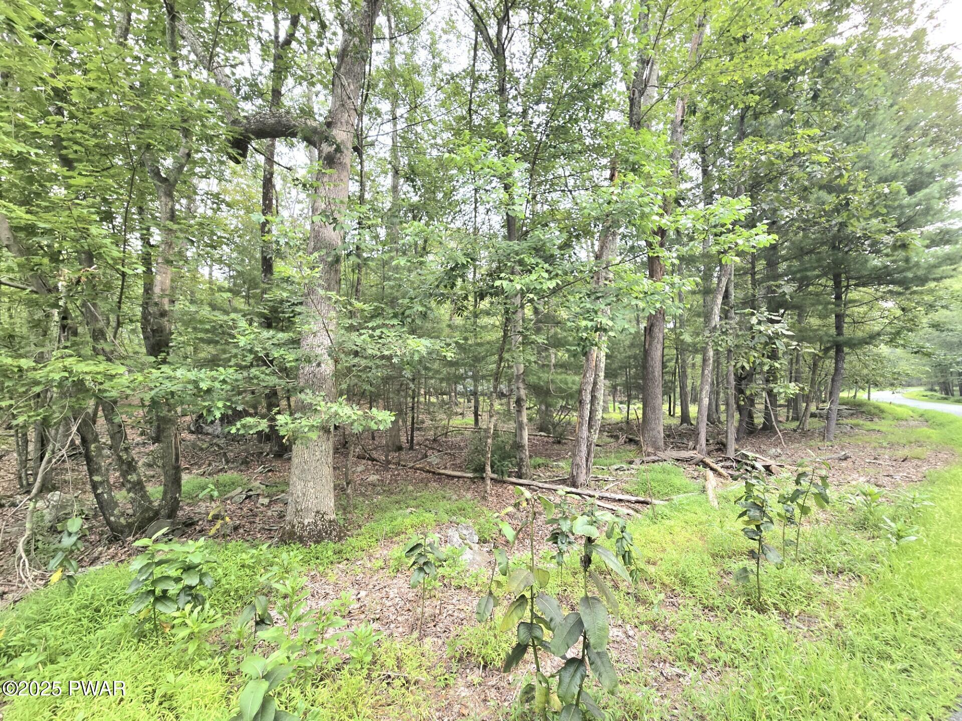 Lot 41 Rock Bass Road Milford, PA 18337 - Photo 3 of 8 2