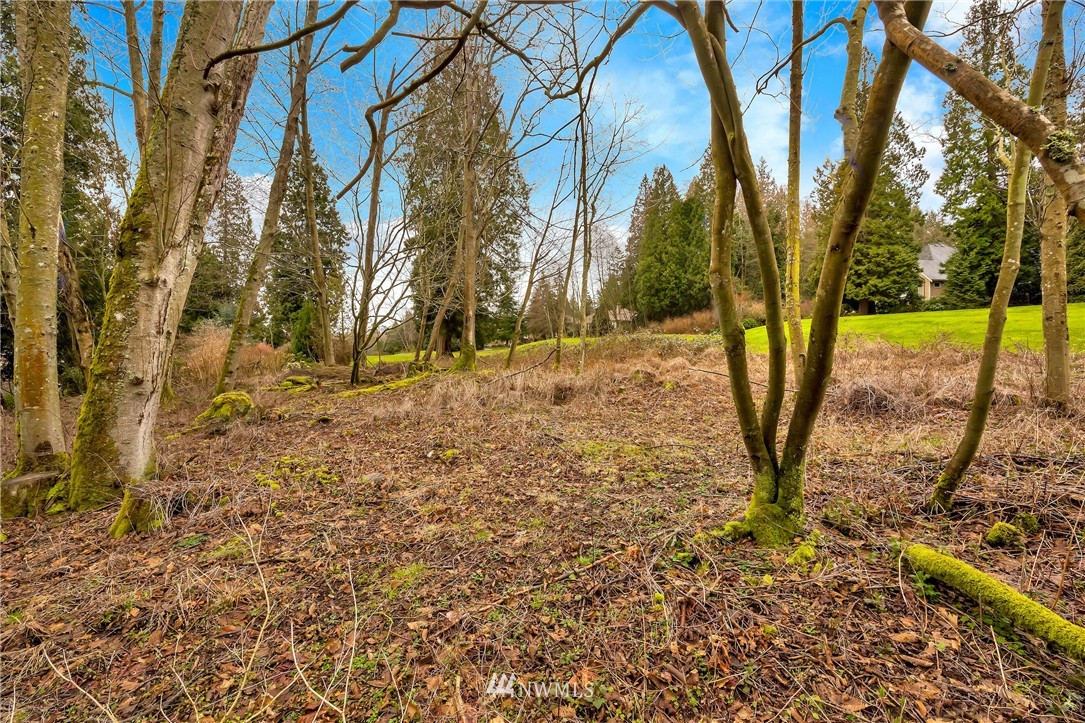 5365 Canvasback Road Blaine, WA 98230 - Photo 1 of 16