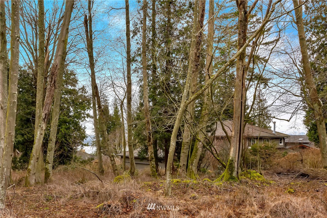 5365 Canvasback Road Blaine, WA 98230 - Photo 12 of 16