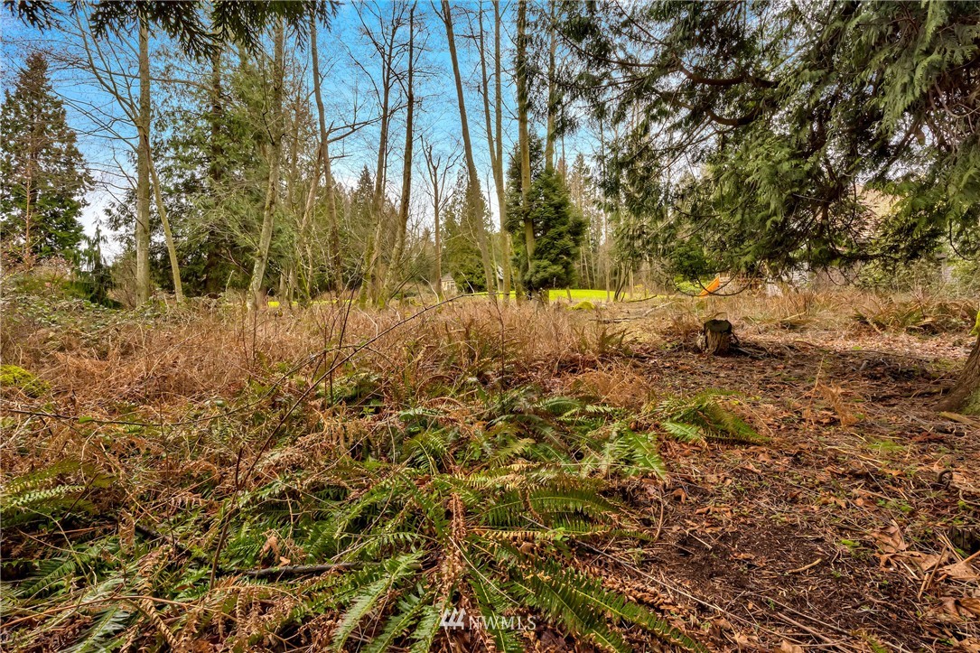 5365 Canvasback Road Blaine, WA 98230 - Photo 3 of 16