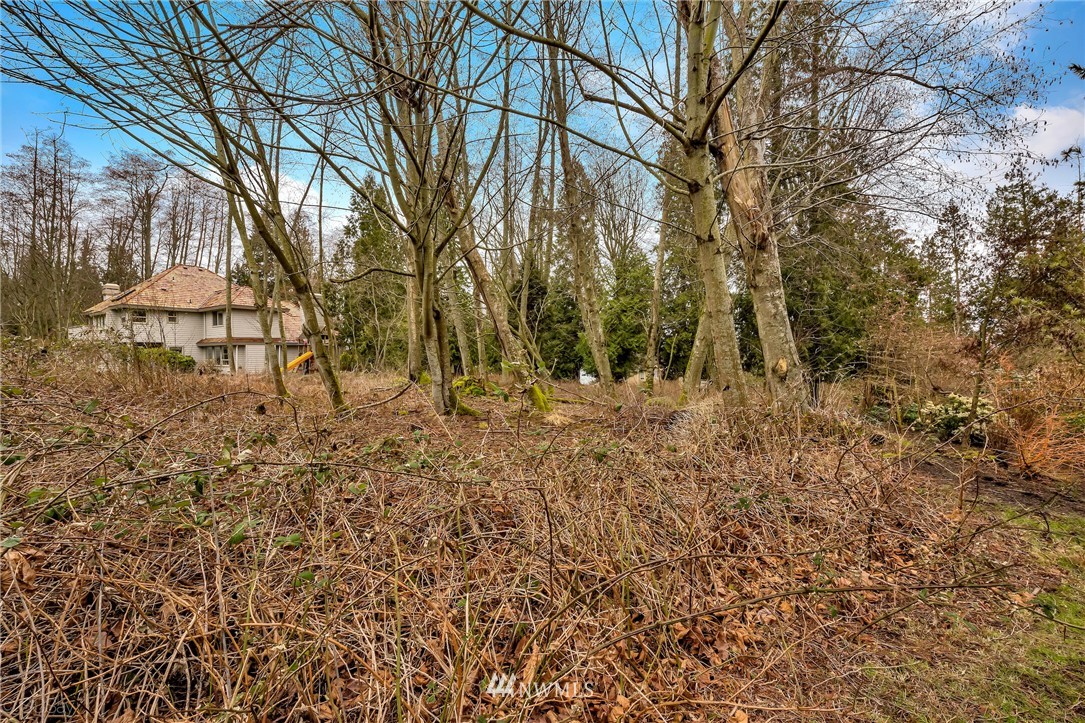 5365 Canvasback Road Blaine, WA 98230 - Photo 6 of 16