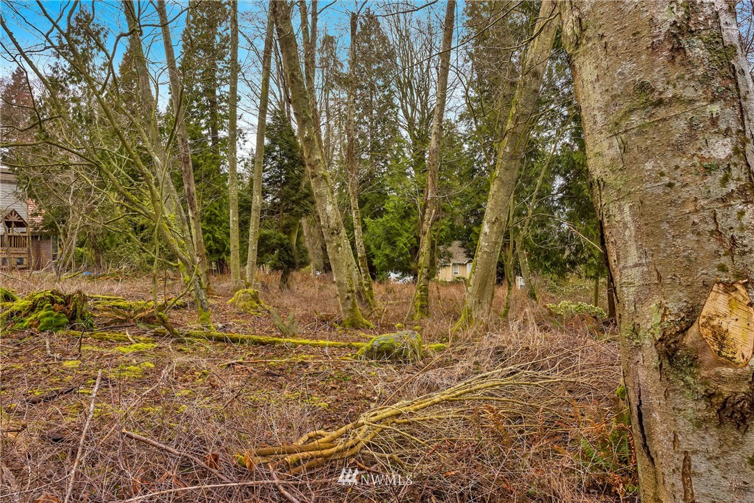 5365 Canvasback Road Blaine, WA 98230 - Photo 7 of 16