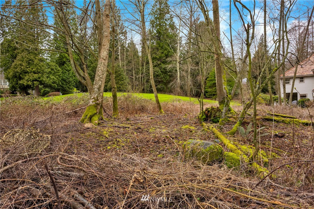 5365 Canvasback Road Blaine, WA 98230 - Photo 9 of 16