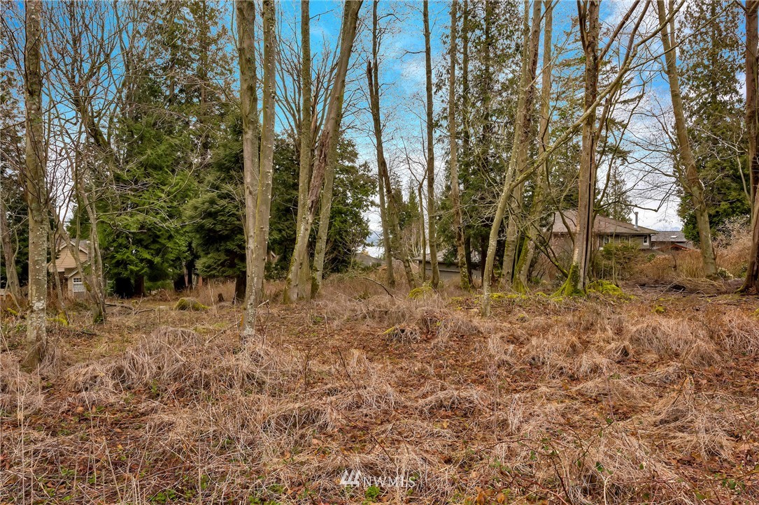 5365 Canvasback Road Blaine, WA 98230 - Photo 10 of 16