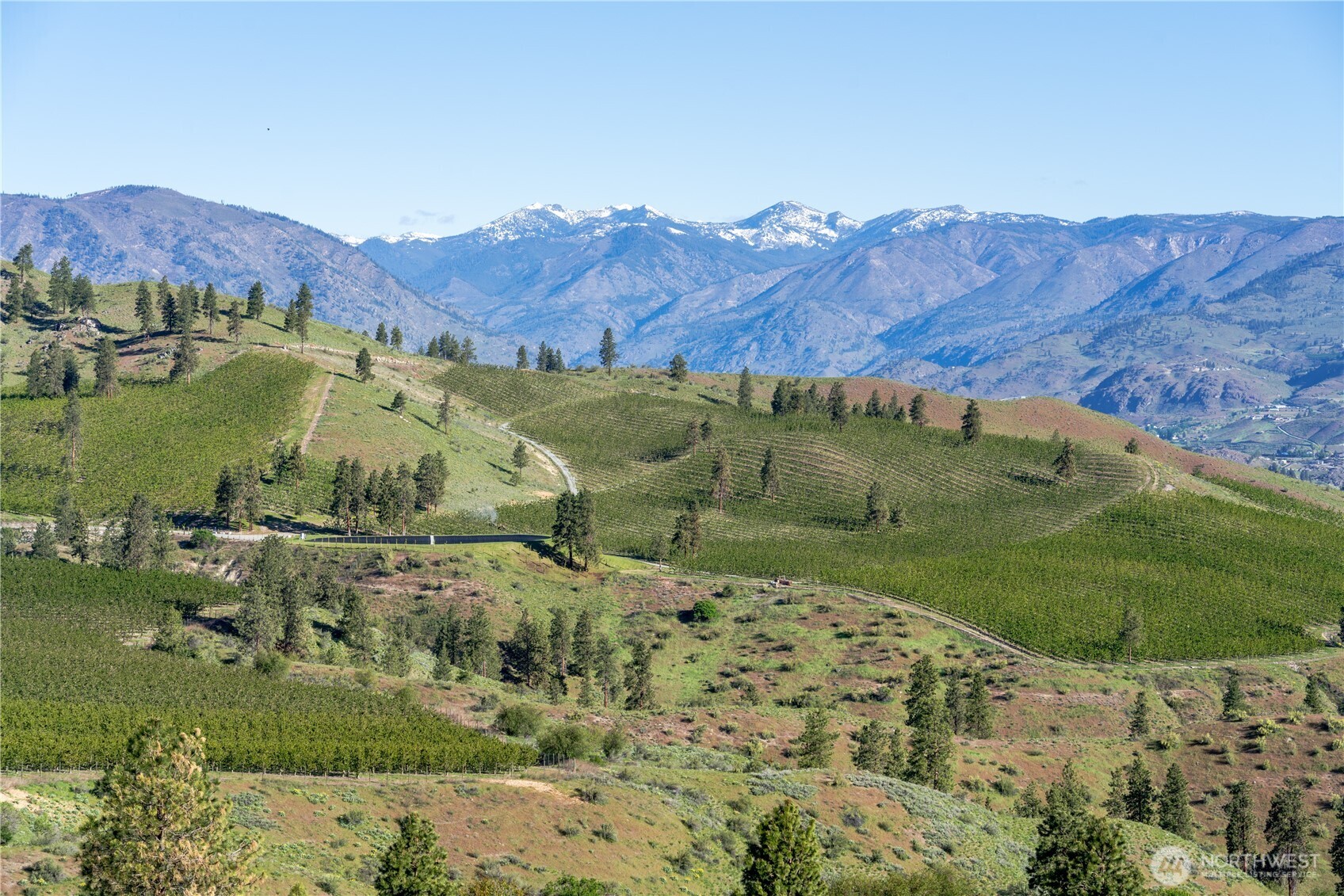 322 Paintbrush Road Chelan, WA 98816 - Photo 21 of 26 a view of a lush green field with mountains in the background