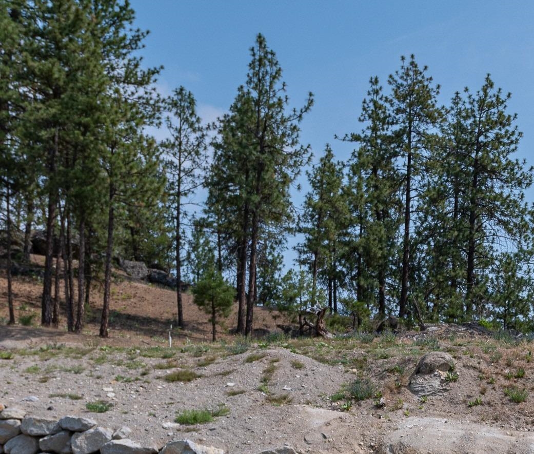 97 East Center Street Spokane, WA 99208 - Photo 4 of 10