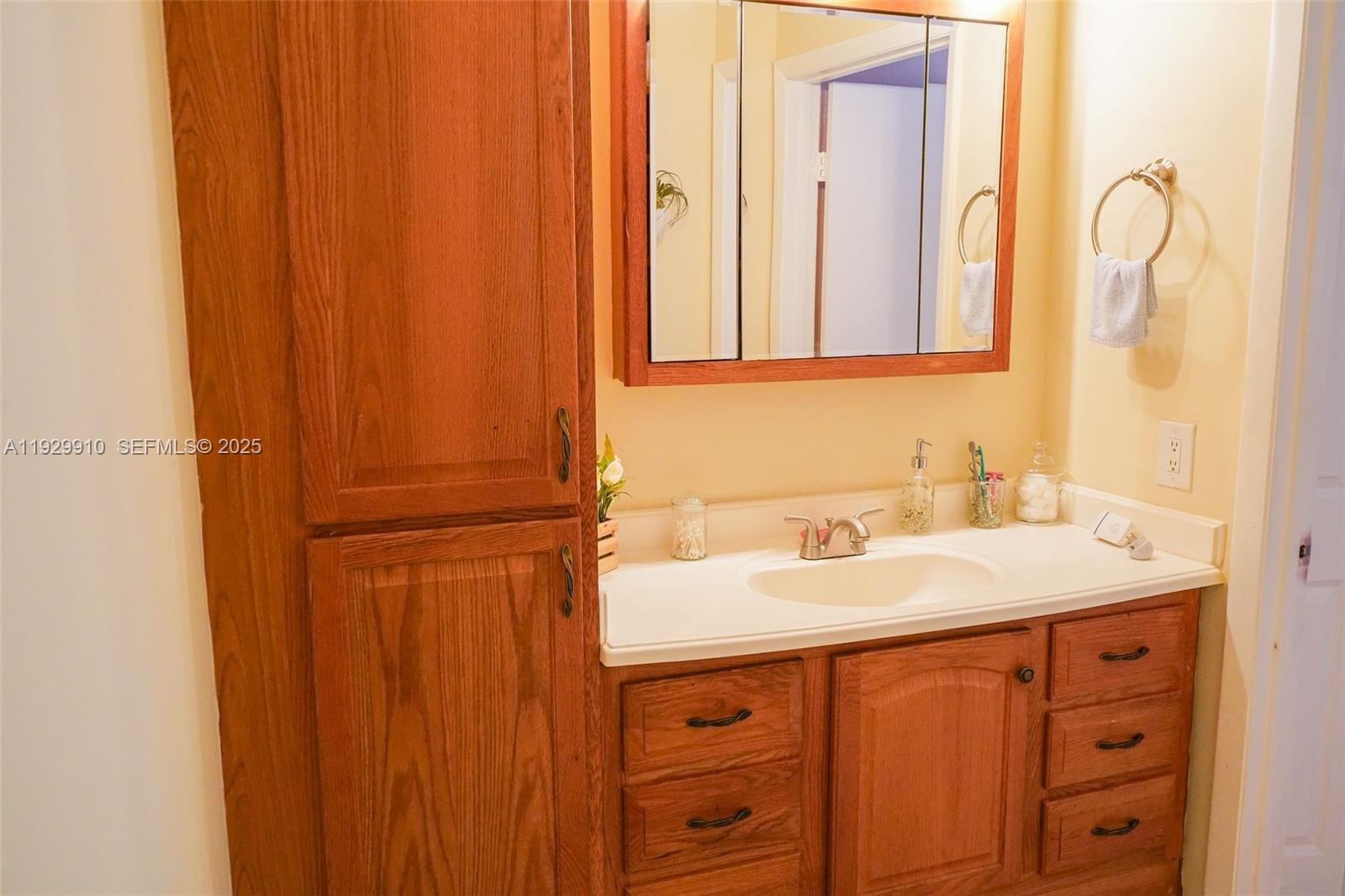 19907 Northwest 67th Court Hialeah, FL 33015 - Photo 27 of 53 a bathroom with a sink and a mirror