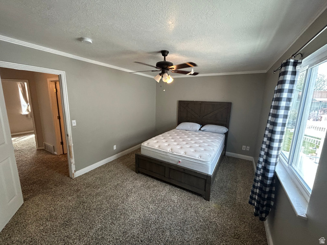 432 Spring Lane Logan, UT 84341 - Photo 17 of 22 Carpeted bedroom with a textured ceiling, ceiling fan, and crown molding