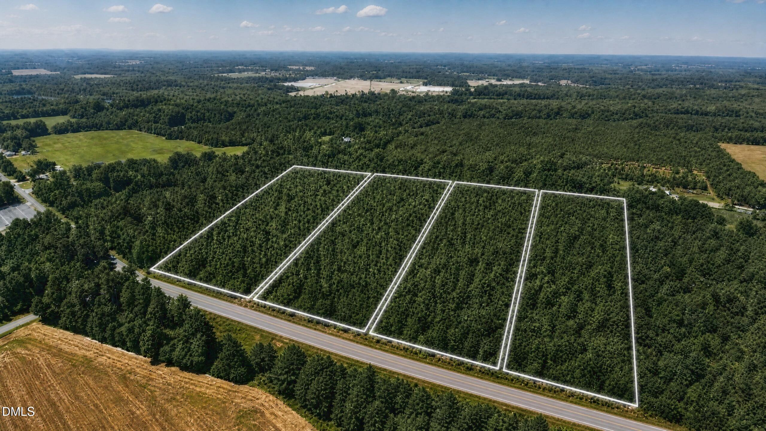 0 Johnson Pond Road Red Springs, NC 28377 - Photo 5 of 19 5