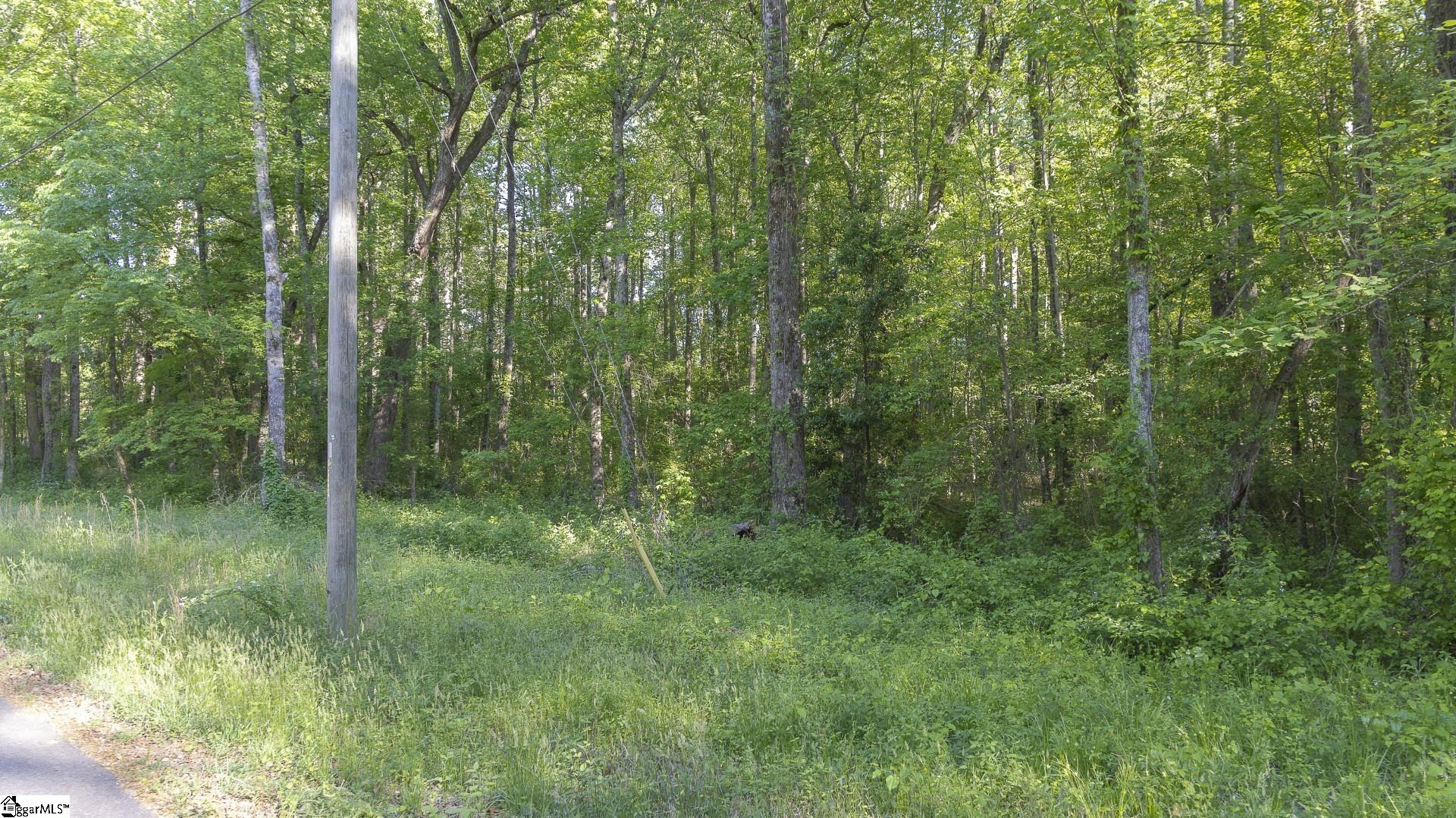 0 Botany Slopes Road Piedmont, SC 29673 - Photo 3 of 44