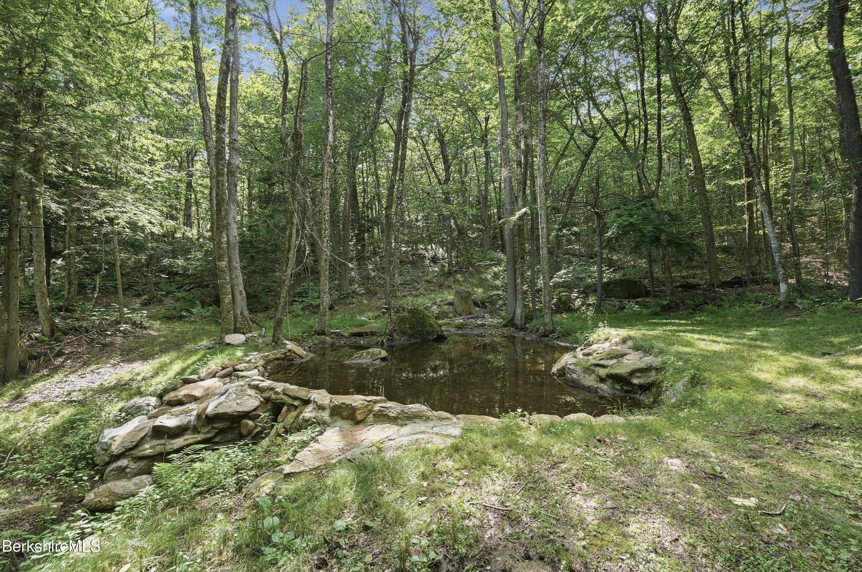 68 Curtin Road Peru, MA 01235 - Photo 35 of 38 a backyard of a house with lots of green space