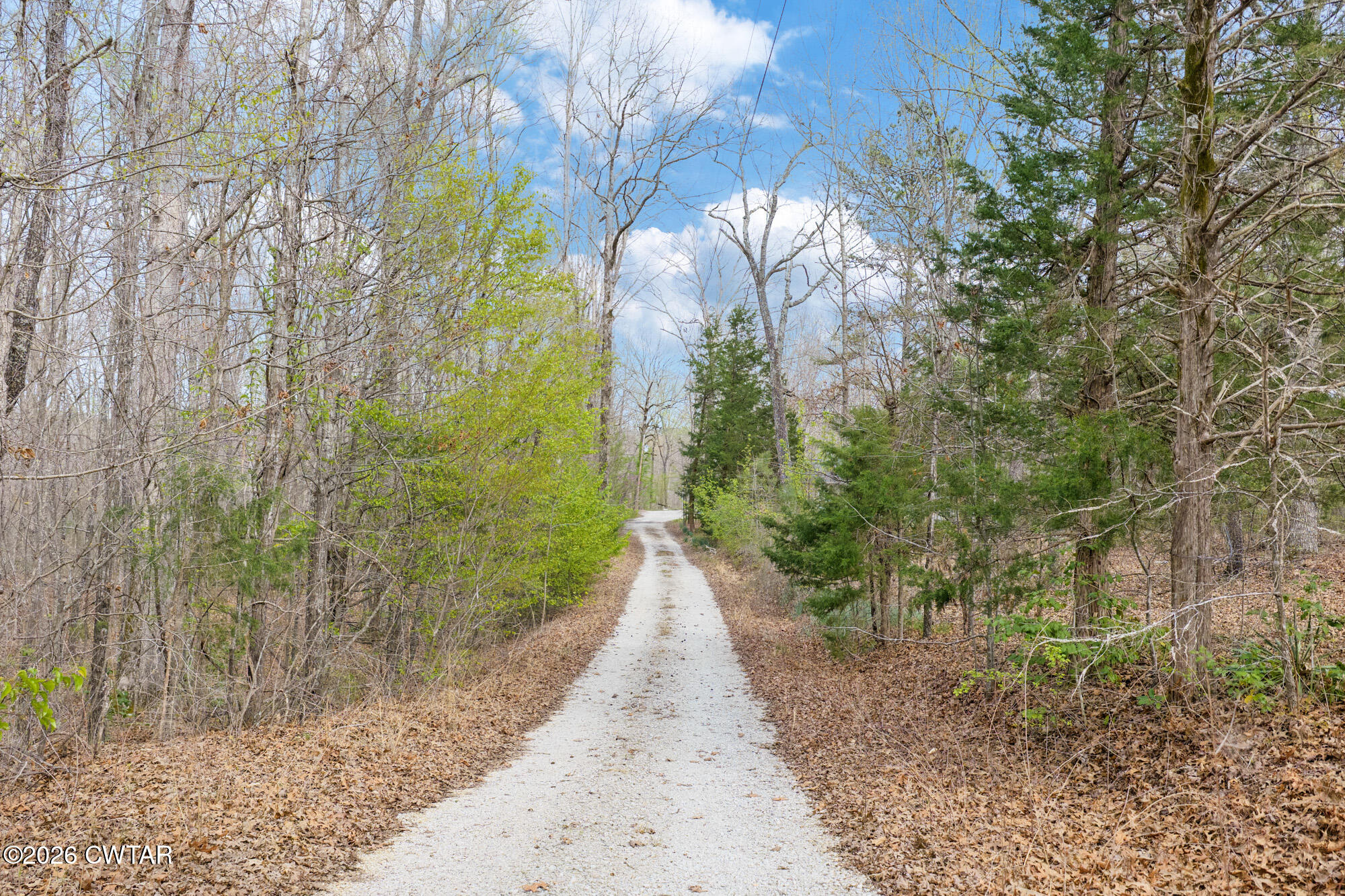 5800 Bible Grove Road Lexington, TN 38351 - Photo 39 of 41 DJI_20260324153004_0003_D