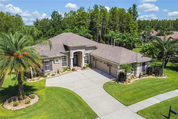 a aerial view of a house with swimming pool garden view and trees