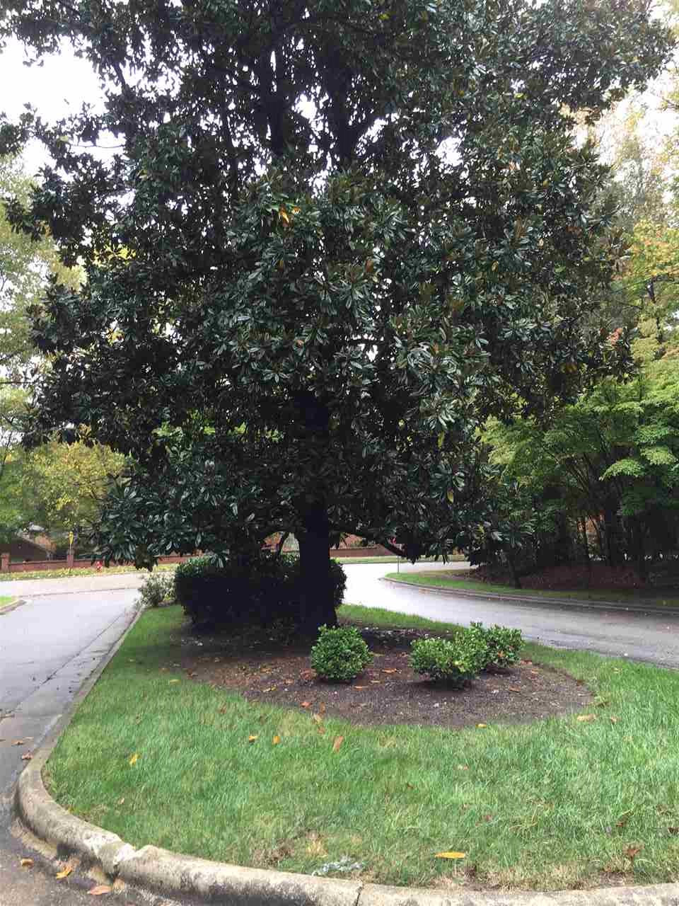 910 Blenheim Drive Raleigh, NC 27612 - Photo 11 of 11 Entrance to Blenheim