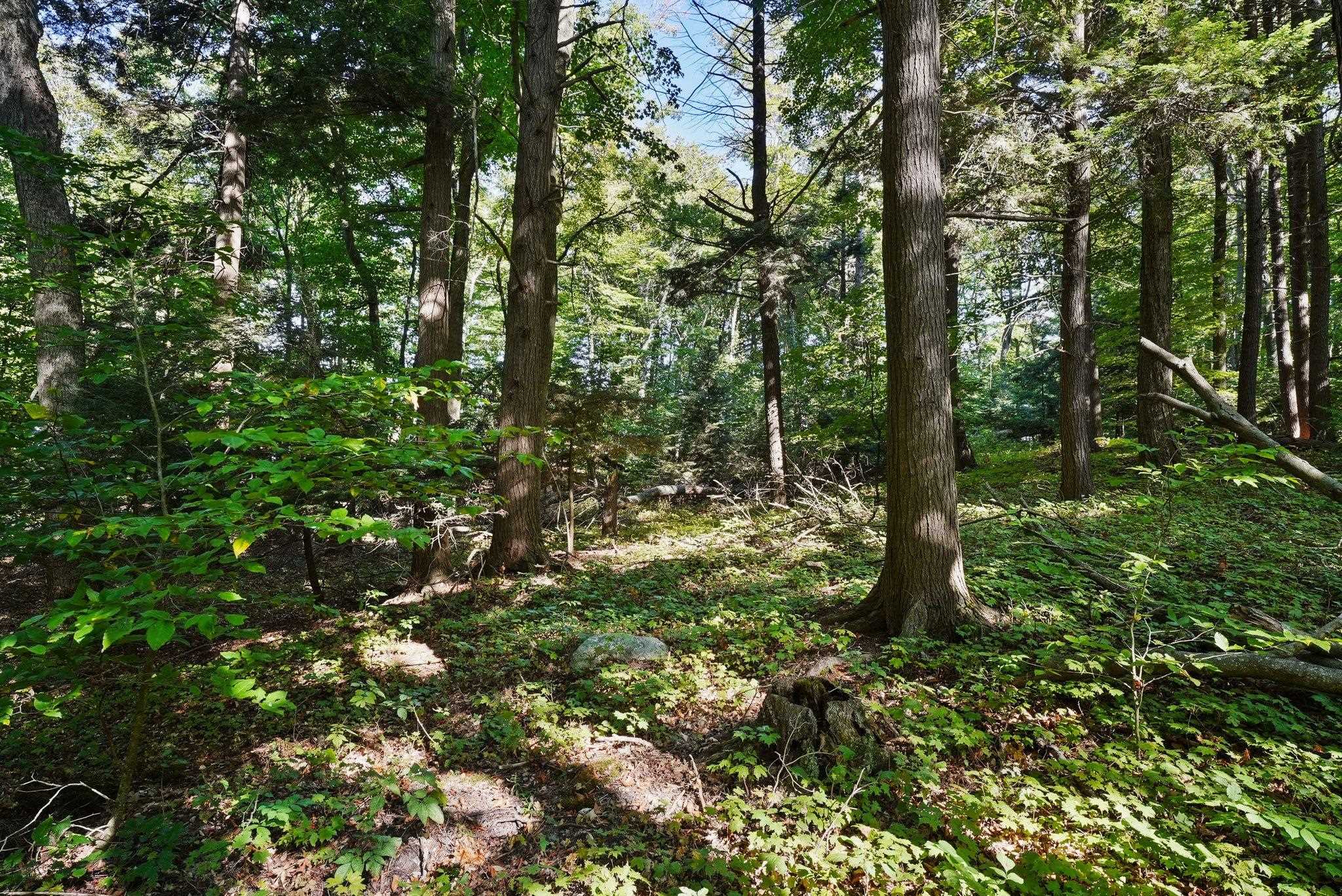 Lot 90 Ridge Road Frankfort, MI 49635 - Photo 10 of 18