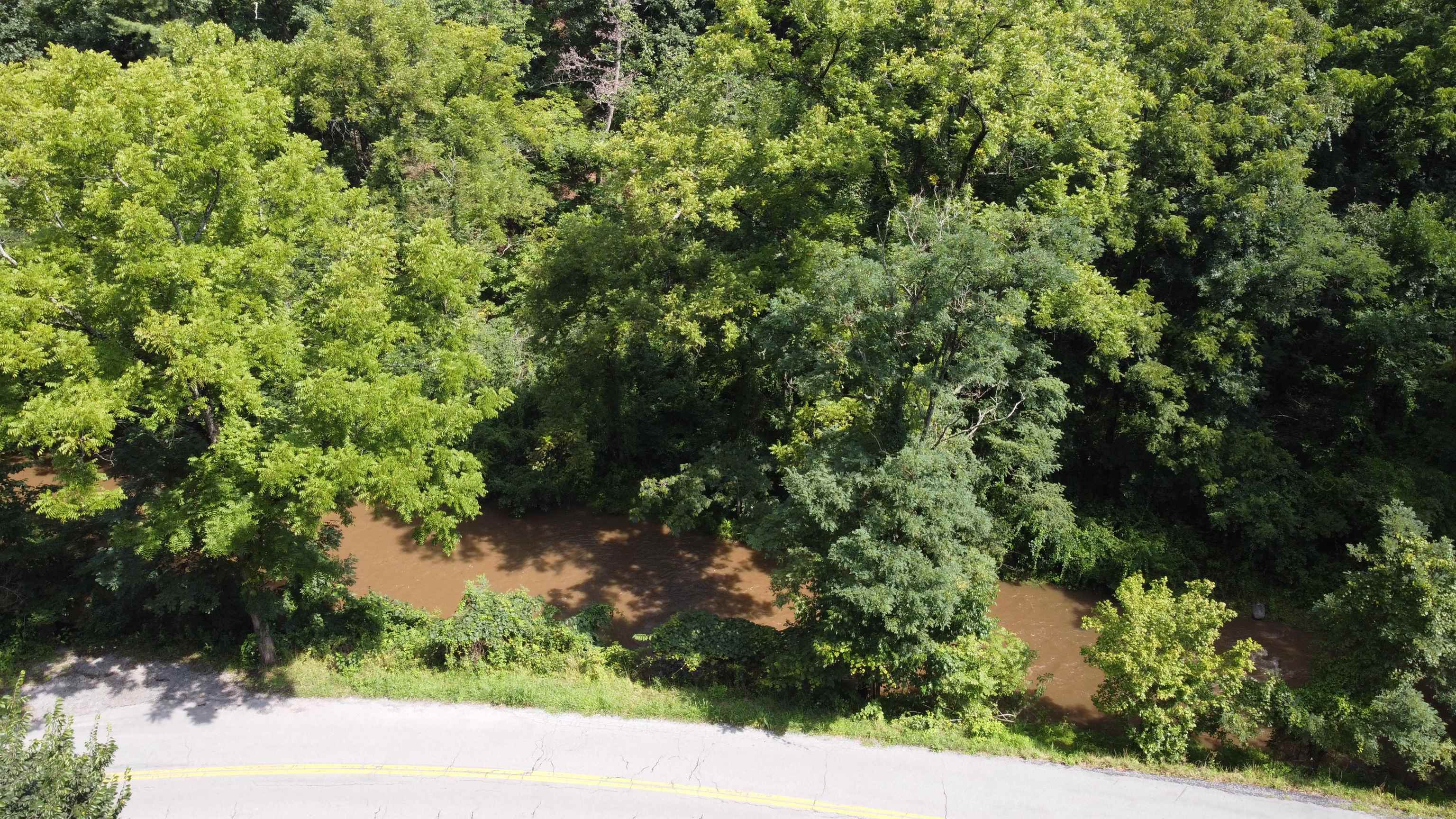 3893 Alleghany Spring Road Shawsville, VA 24162 - Photo 23 of 43 Gallery Image 23