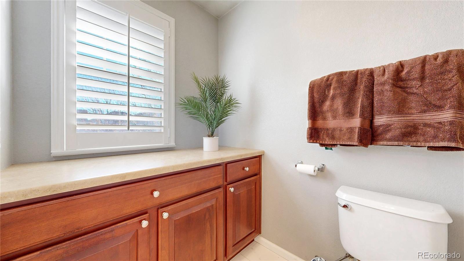 10797 Hickory Ridge Street Highlands Ranch, CO 80126 - Photo 25 of 42 a bathroom with a sink and a toilet