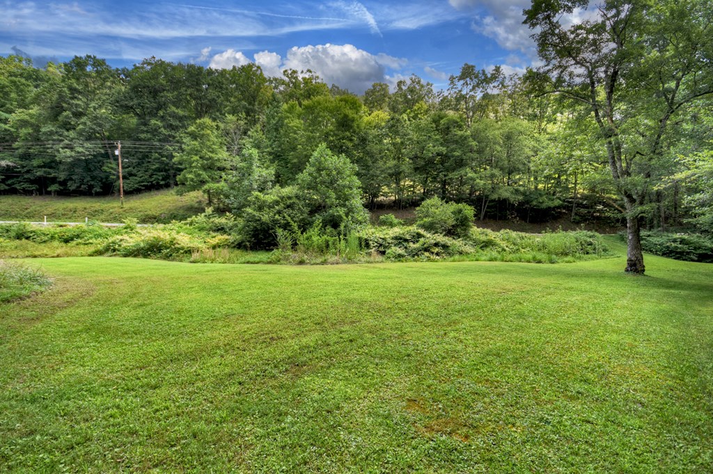1146 Galloway Road Blue Ridge, GA 30513 - Photo 3 of 33 Gallery Image 3