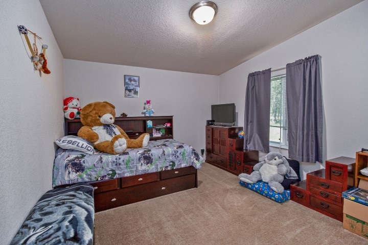 4116 East Oregon Road Elk, WA 99009 - Photo 14 of 20