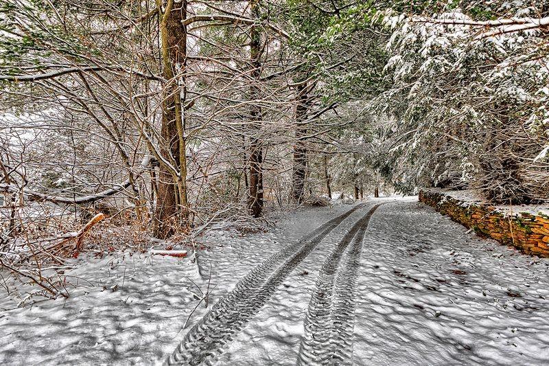 615 West 4th Avenue Derry, PA 15627 - Photo 28 of 28 a view of a yard with plants and trees