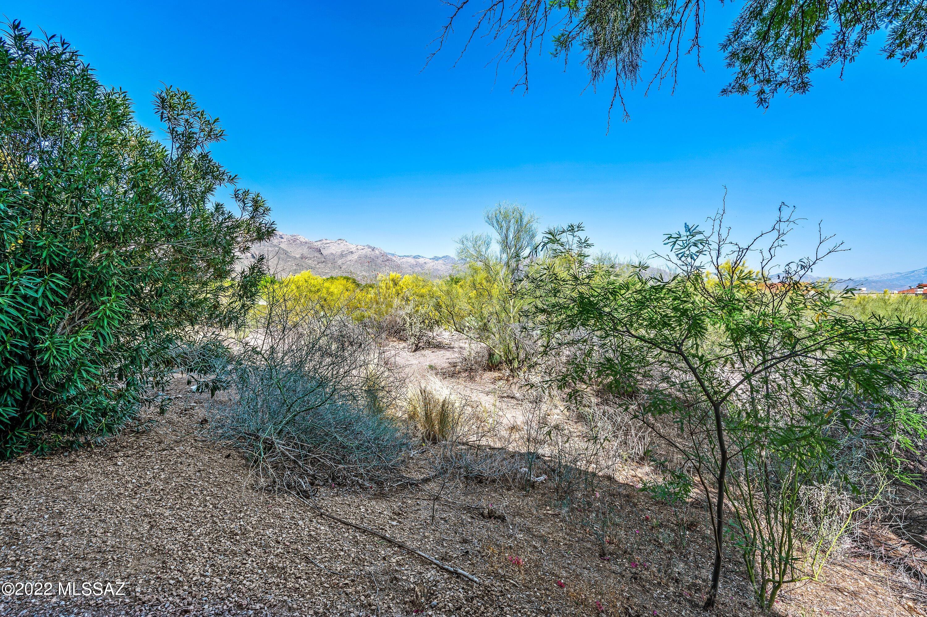 5751 North Kolb Road, Unit 33103 Tucson, AZ 85750 - Photo 2 of 28 Gallery Image 2