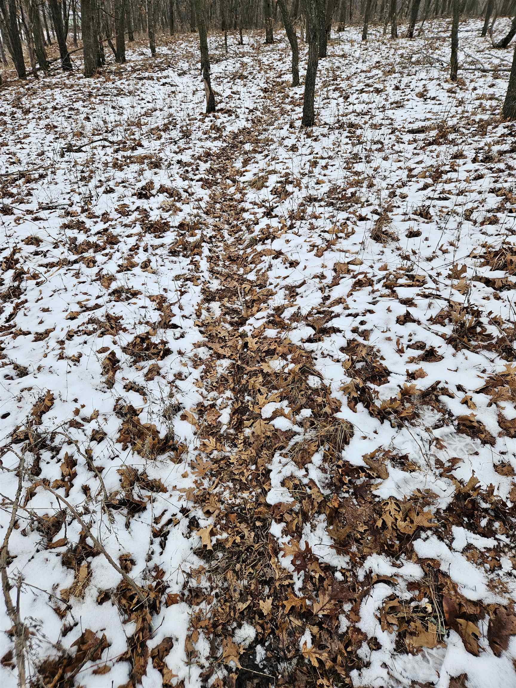 58-ac Highway 33 Portage, WI 53901 - Photo 7 of 7