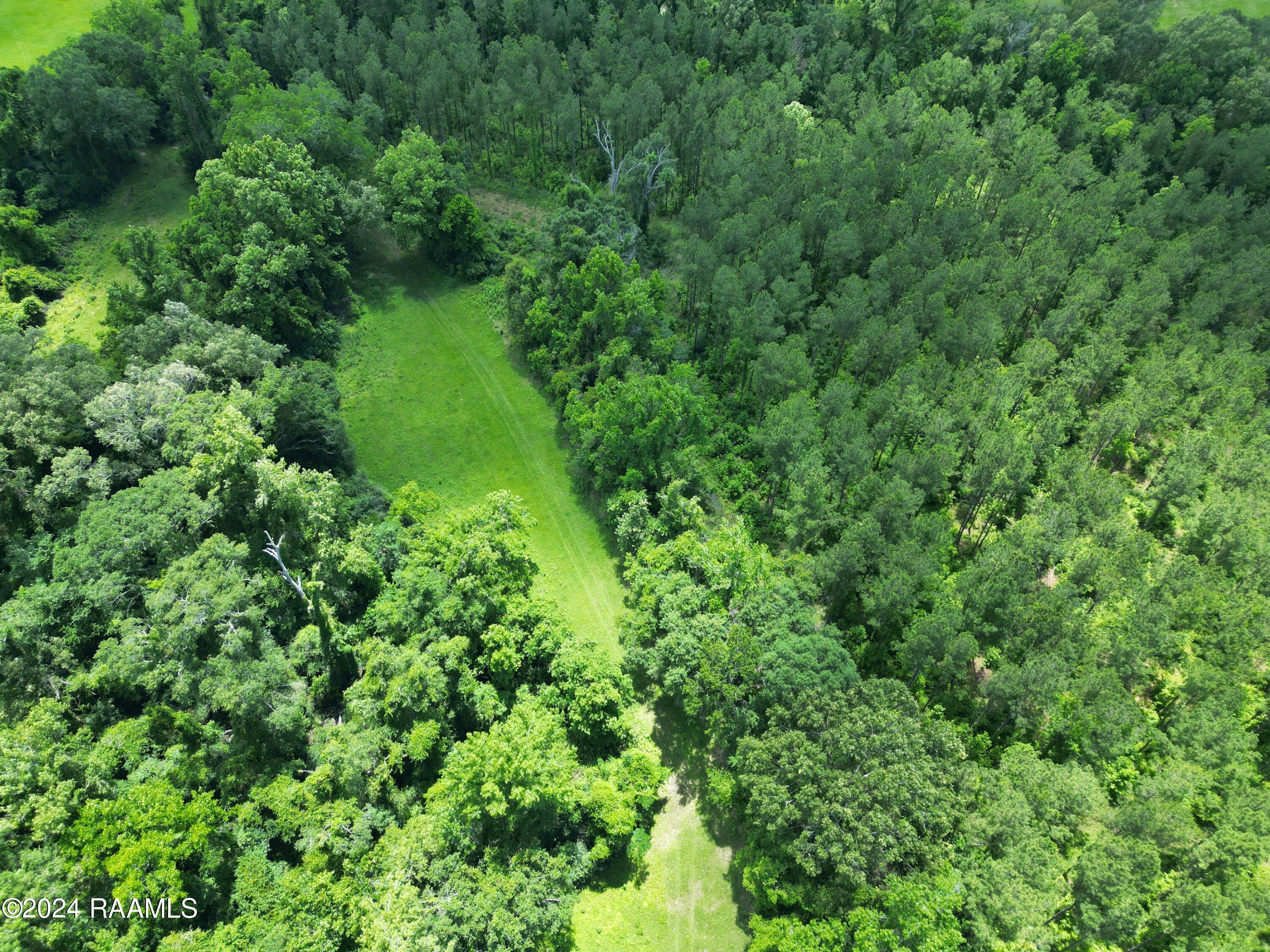 0 Herbert Ortego Road Washington, LA 70589 - Photo 15 of 18