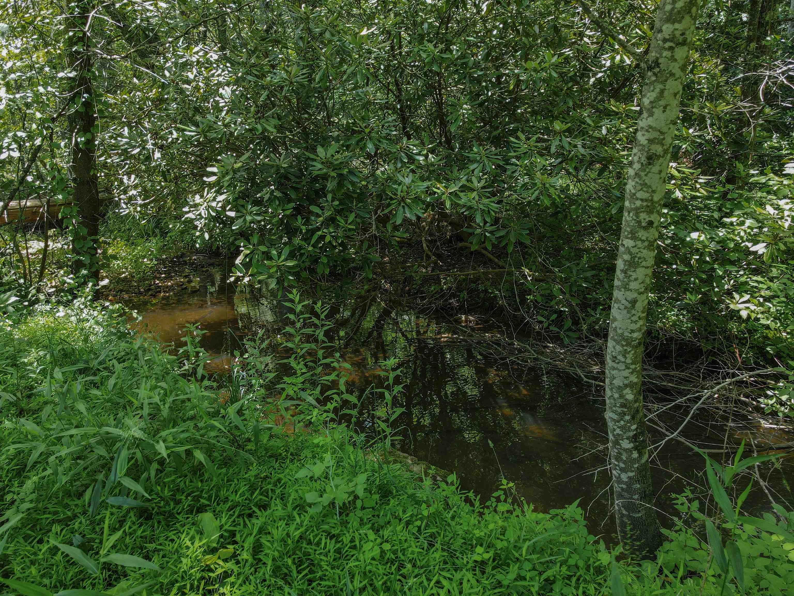 Tbd Kings Store Road Northeast Floyd, VA 24091 - Photo 15 of 28 Gallery Image 15