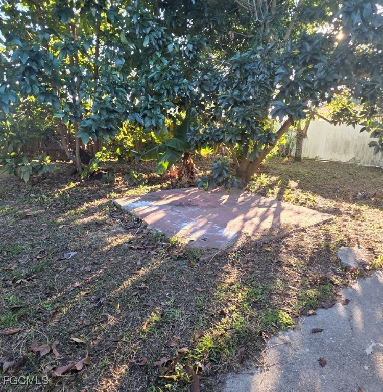 204 East Bougainvillea Road Lehigh Acres, FL 33936 - Photo 18 of 26