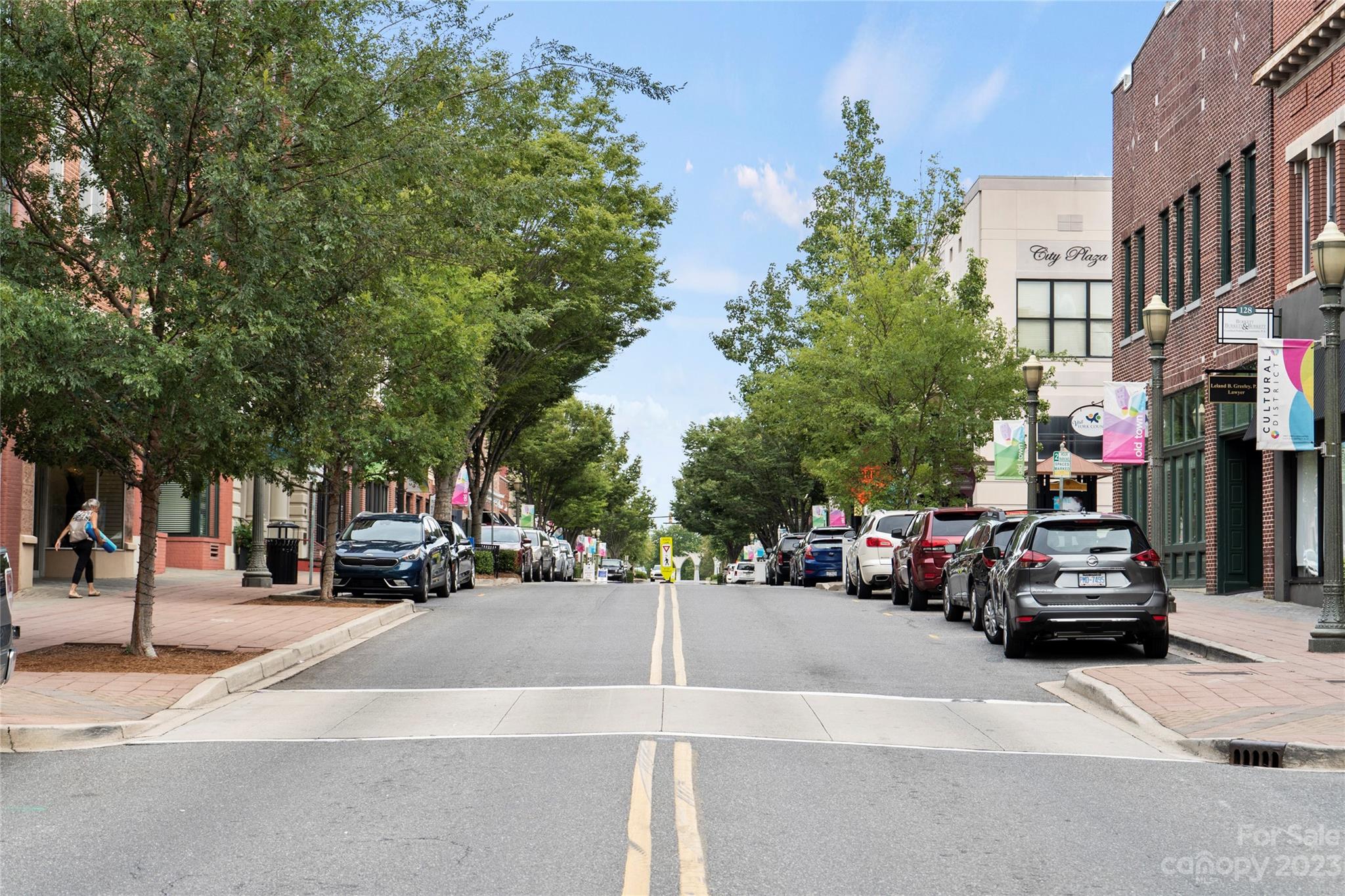 745 Sawgrass Rdg Court Rock Hill, SC 29732 - Photo 16 of 19 a view of the street