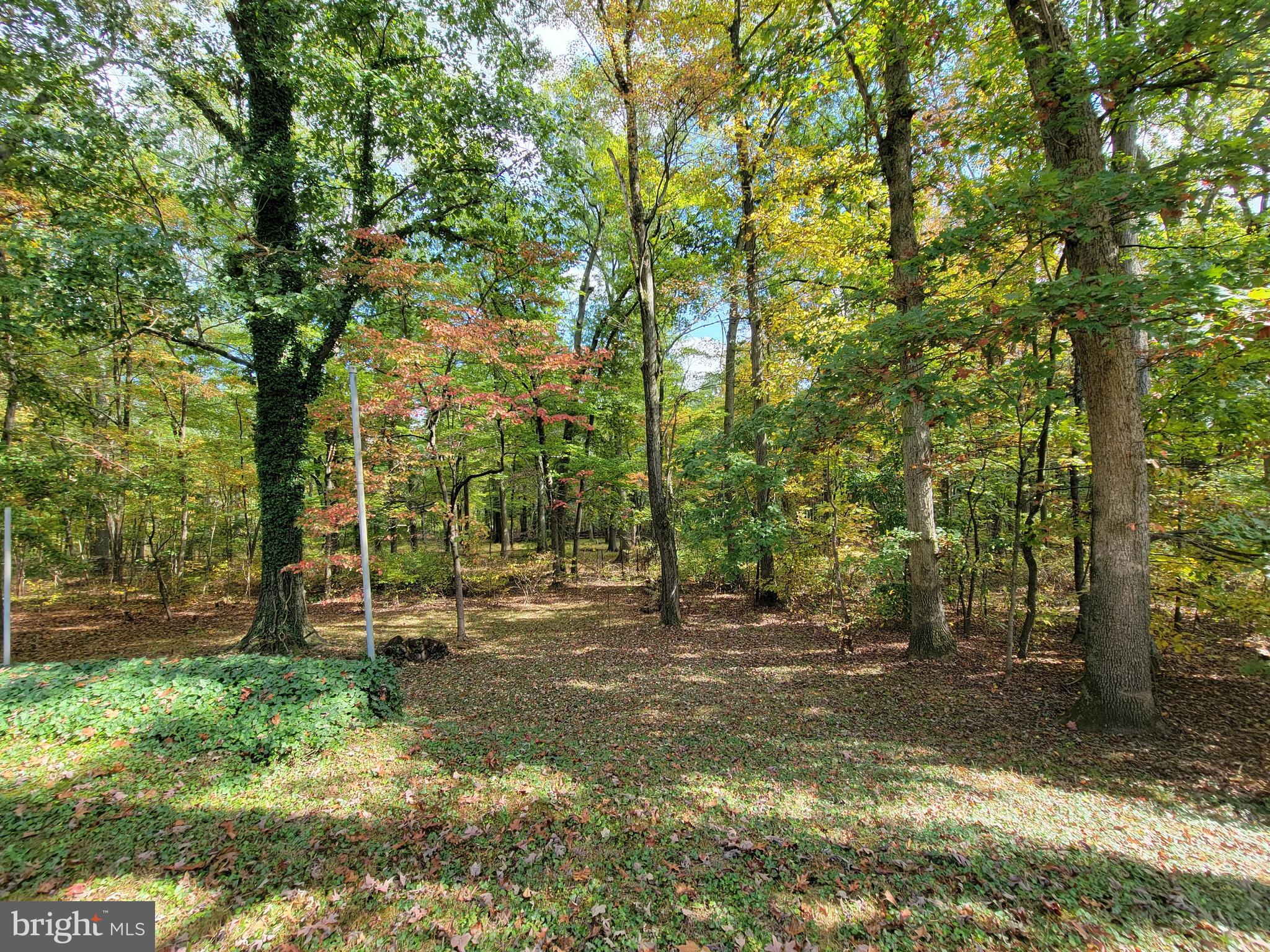2383 Bedminster Road Perkasie, PA 18944 - Photo 16 of 24 Yard