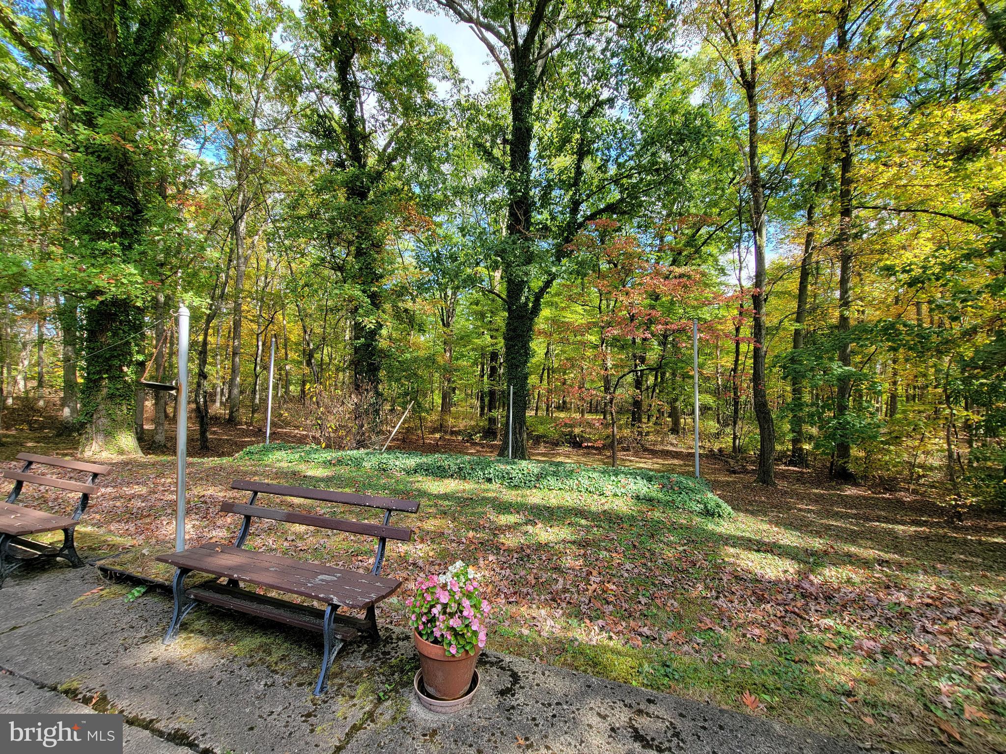2383 Bedminster Road Perkasie, PA 18944 - Photo 4 of 24 Rear yard