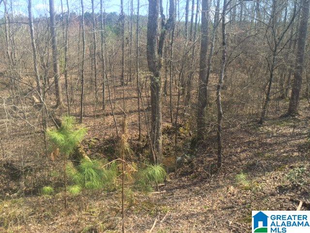 30 County Road, Unit 27 29 Cragford, AL 36255 - Photo 3 of 7