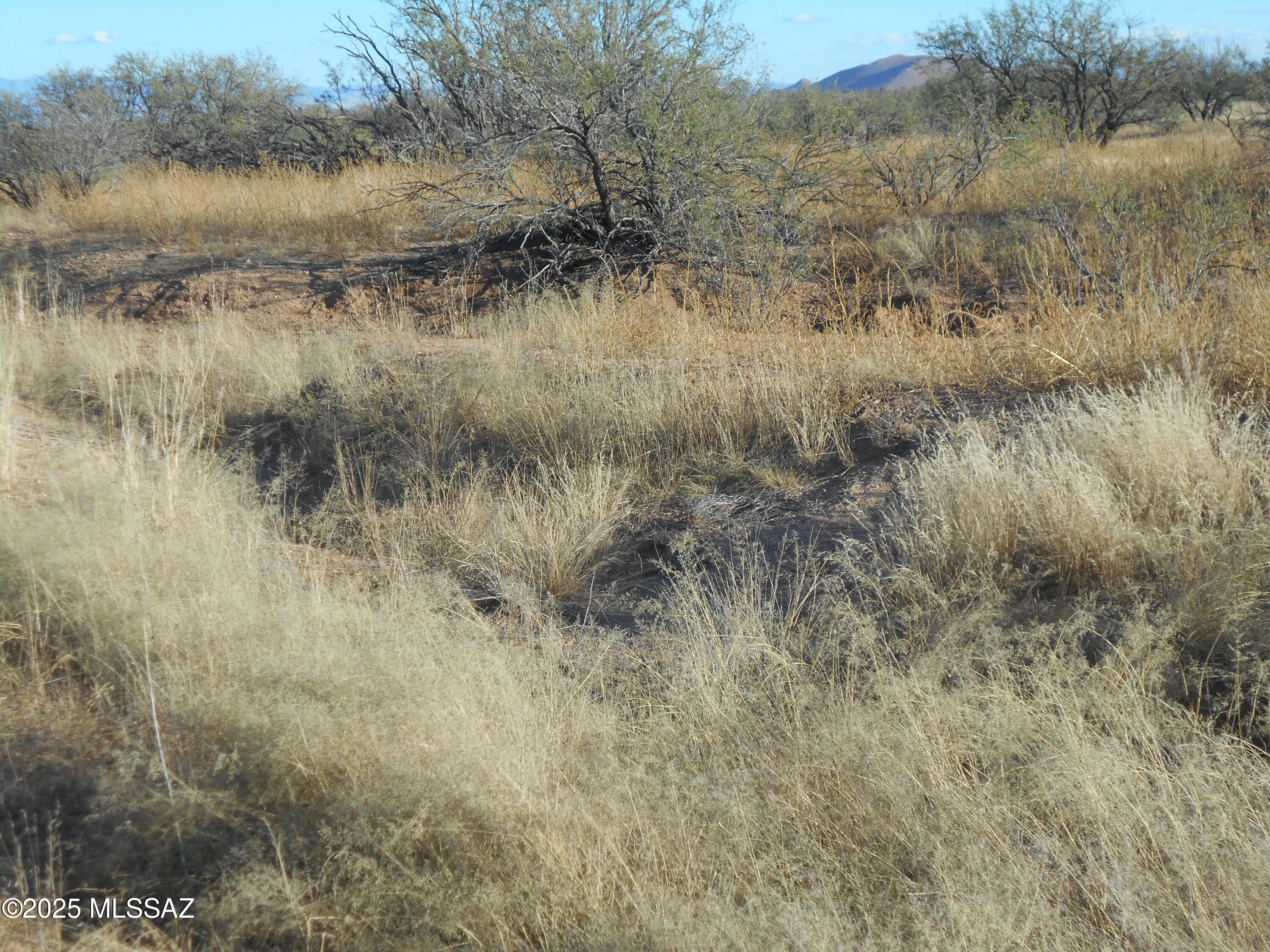 4.25-acres Eastland Road, Unit 8 Cochise, AZ 85606 - Photo 16 of 35