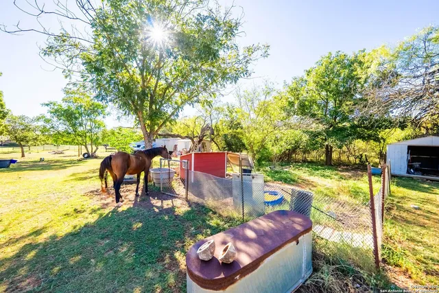 a view of a yard with plants