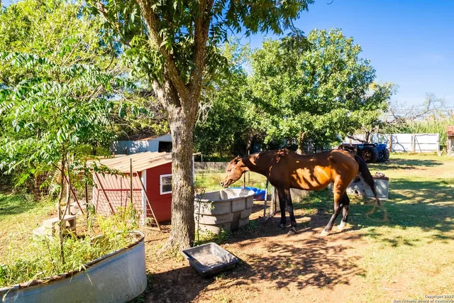 a view of yard with swimming pool and trees