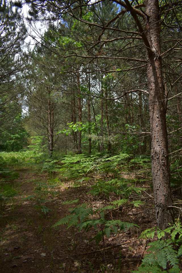 2664 Gonder Road Interlochen, MI 49643 - Photo 44 of 45 1839453-43.JPG