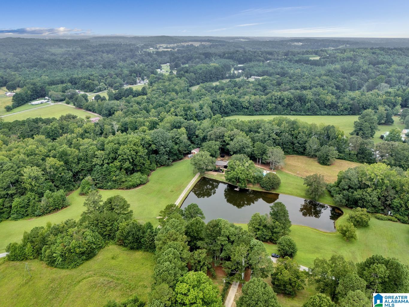 1695 Kent Road Oneonta, AL 35121 - Photo 20 of 70