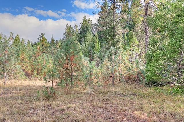 1588 Lone Mountain Road O'Brien, OR 97534 - Photo 16 of 23 Additional Photo