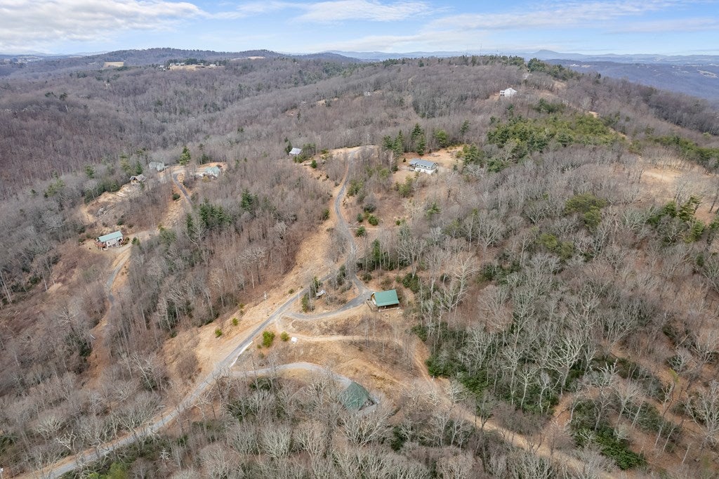 799 Crystal Spring Drive Fancy Gap, VA 24328 - Photo 39 of 43 Gallery Image 39