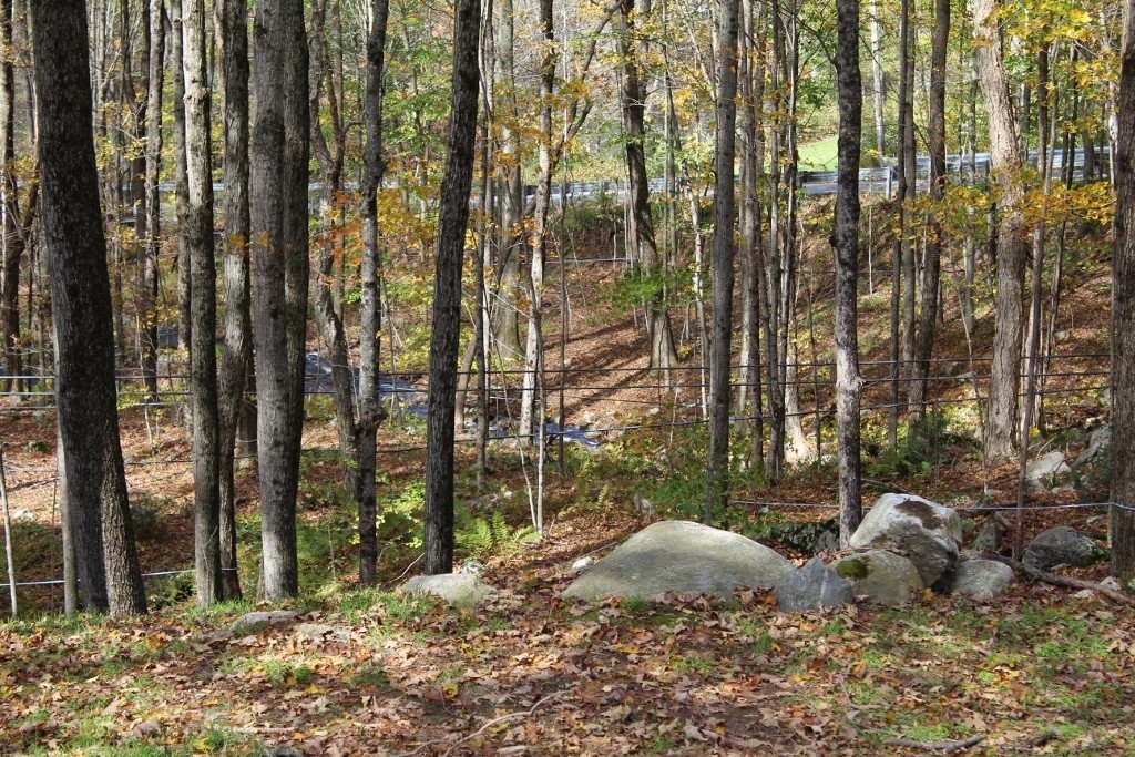10 East Hill Road East Oakham, MA 01068 - Photo 18 of 21 Gallery Image 18
