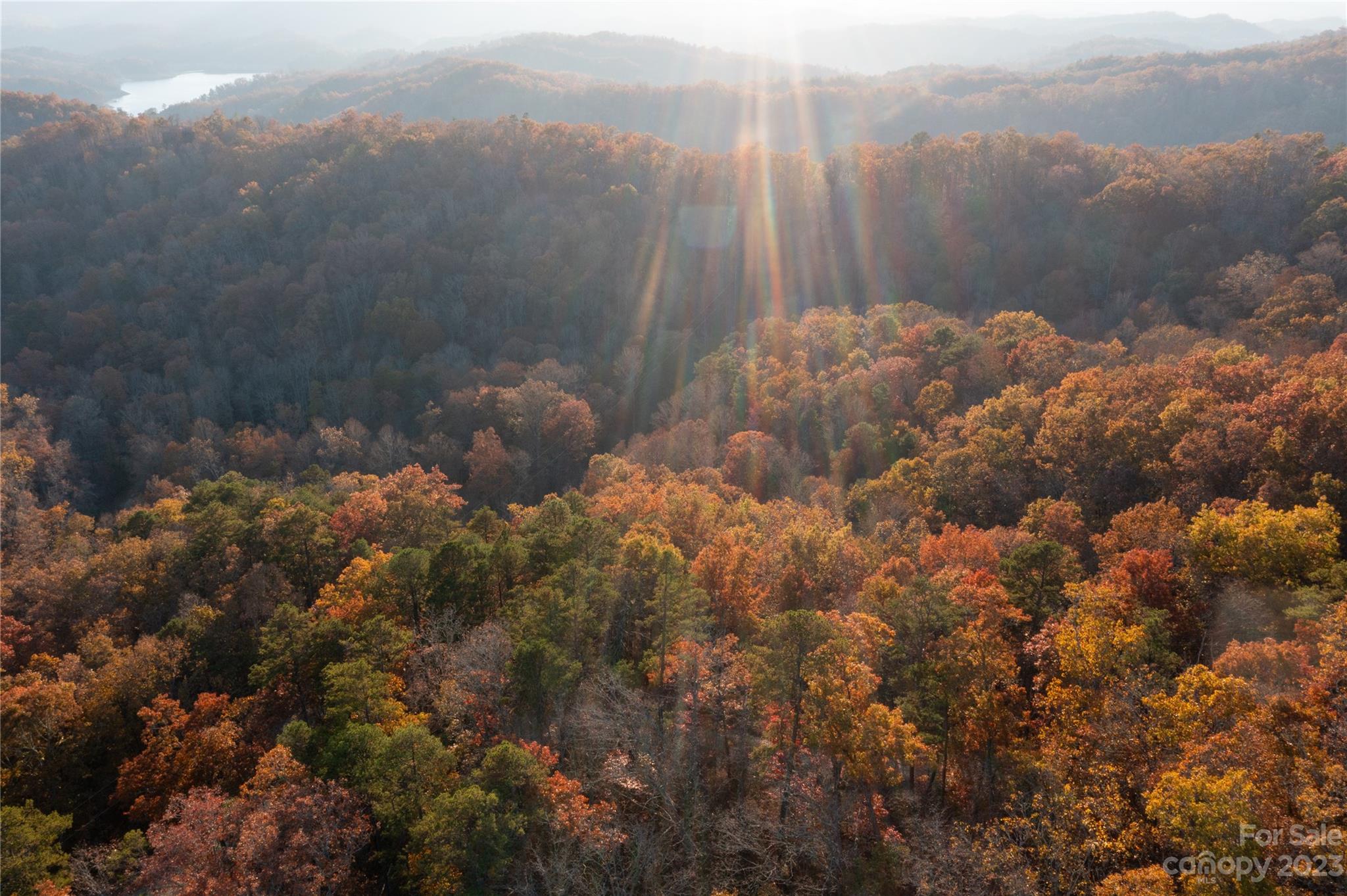 1132 Greasy Branch Road Bryson City, NC 28713 - Photo 8 of 45 Gallery Image 8