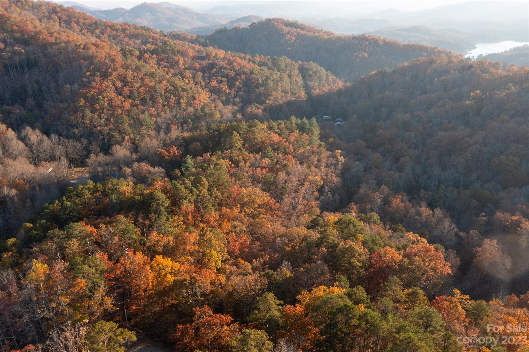 1132 Greasy Branch Road Bryson City, NC 28713 - Photo 9 of 45 Gallery Image 9