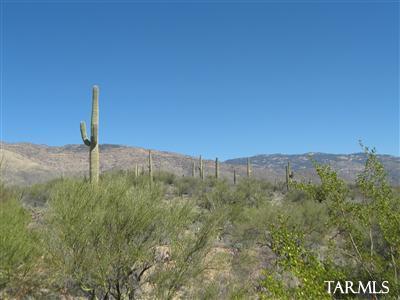 15451 East Rincon Creek Ranch Road, Unit A Tucson, AZ 85747 - Photo 16 of 25