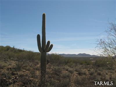 15451 East Rincon Creek Ranch Road, Unit A Tucson, AZ 85747 - Photo 24 of 25