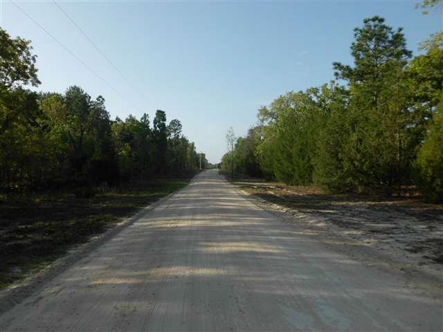5302 Smith Road, Unit 1 Perry, FL 32348 - Photo 18 of 18 Gallery Image 18