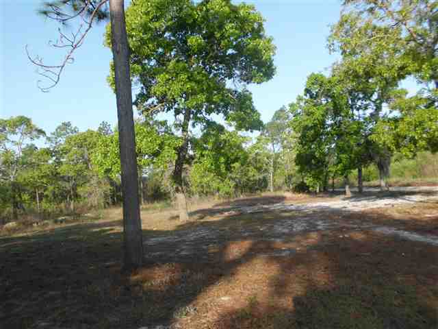 5302 Smith Road, Unit 1 Perry, FL 32348 - Photo 2 of 18 Gallery Image 2