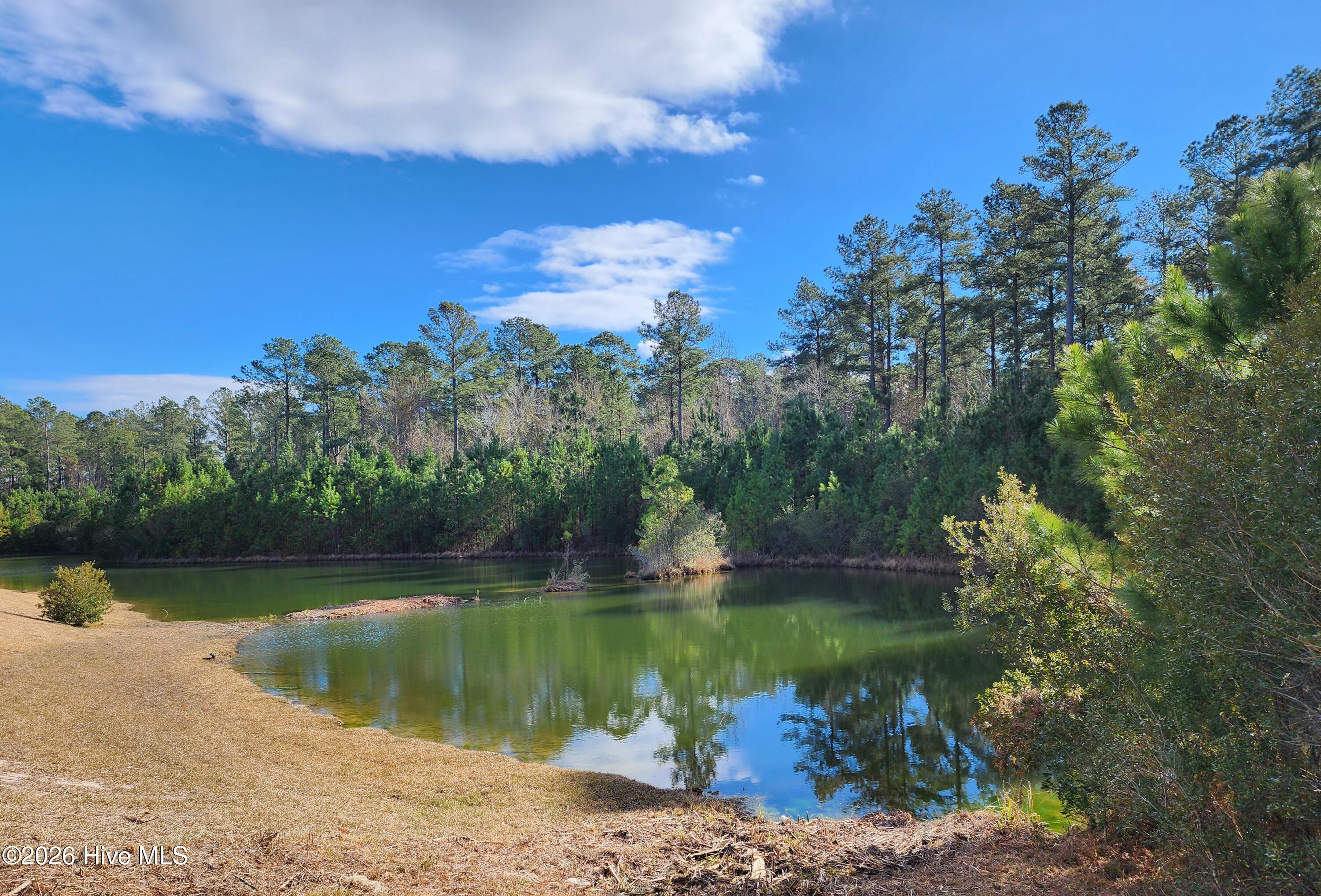 3004 Watercrest Loop New Bern, NC 28562 - Photo 11 of 11 lot 3